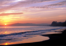 Butterfly Beach