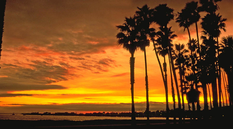 Santa Barbara Harbor at Sunset