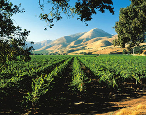 Santa Ynez Valley